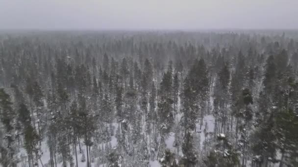 Górny widok z lotu ptaka zimowy panoramiczny krajobraz z zaśnieżonym lasem w obfitych opadach śniegu — Wideo stockowe