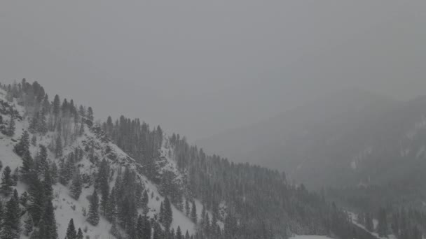 Winterliche Berglandschaft mit starkem Schneefall — Stockvideo