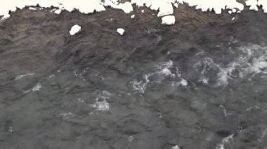 Karlı kış manzarası, çözülmemiş nehir, karla kaplı dalları olan köknar ormanı.