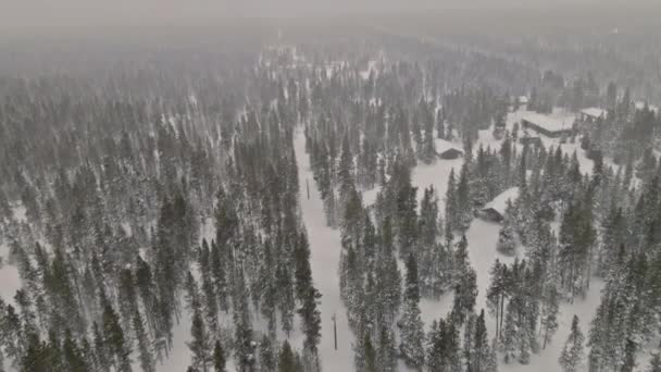 大雪の中で雪の森と空中トップビュー冬のパノラマ風景 — ストック動画