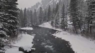 Karlı dağ manzarası Yellowstone nehri karla kaplı çam ağaçları