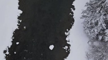 Yellowstone nehrinde kar yağışlı kış manzarası, kış, Yellowstone Ulusal Parkı