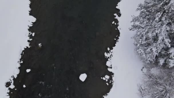 공중에서 내려다본 눈덮인 겨울 풍경 옐로스톤 강, 겨울, 옐로스톤 국립 공원 — 비디오