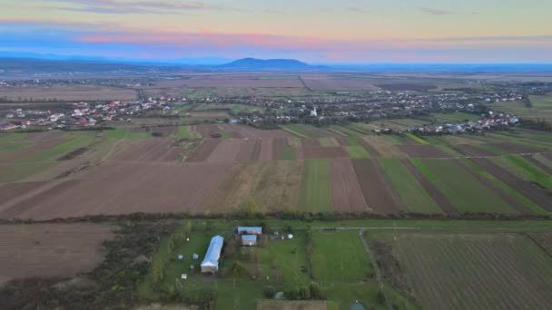 Colheita de trigo em vista aérea de campos de paisagem agrícola — Vídeo de Stock