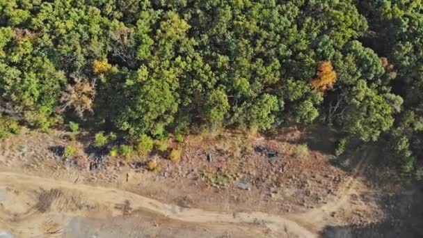 Drohnen aus der Luft, Herbst-Mischwald, gelbe Laubbäume — Stockvideo