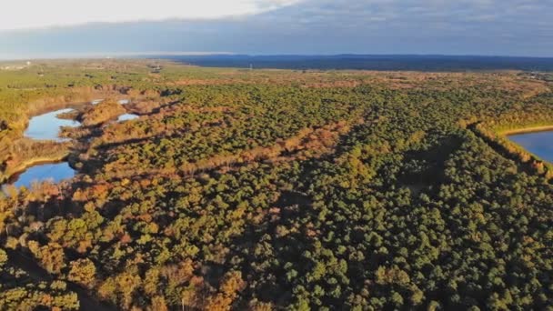 Světlá krajina krásné podzimní les na den — Stock video