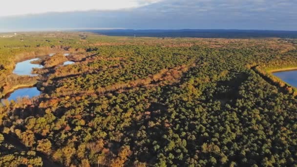 Paesaggio luminoso bella foresta autunnale in un giorno — Video Stock