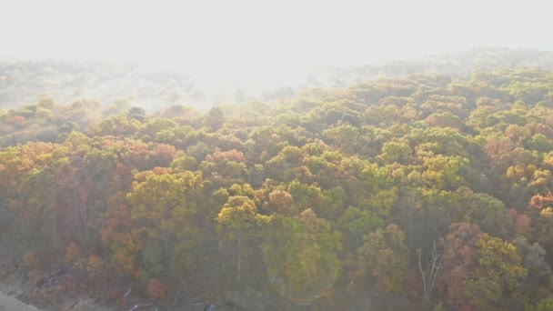Ліс восени з висоти красива панорама сходу сонця, ранковий туманний пейзаж — стокове відео