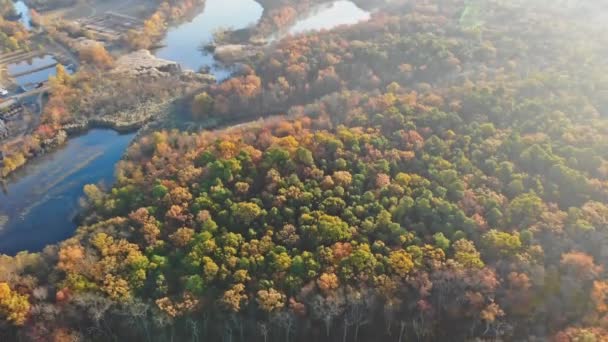 Dromerige zonsopgang boven in de herfst bos kleurrijke mist tussen de bomen op over vijver — Stockvideo