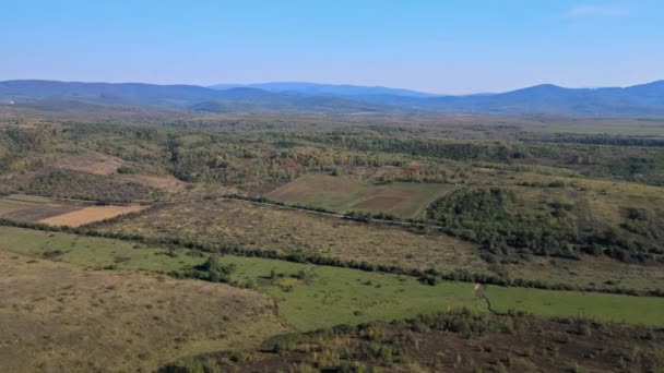 Vista aérea de una tierra con campos verdes en el campo — Vídeo de stock