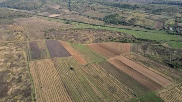 Fazenda um campo de outono final após a colheita em torno do primeiro plano casas aldeia — Vídeo de Stock