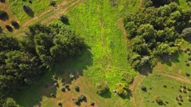 Pensilvanya üzerinde Amerikan kırsal köyünün panoramik hava aracı görüntüsü.