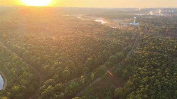 Bosque de otoño mañana vívida en bosque colorido con rayos de sol en el paisaje de la naturaleza con la luz del sol — Vídeos de Stock