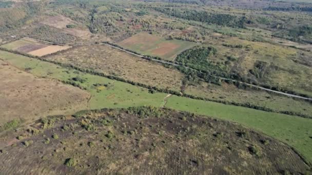 Drone vista aérea de los campos de otoño con cabañas de campo alrededor del pequeño pueblo hermoso paisaje — Vídeos de Stock