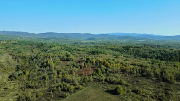 Le montagne campagna bella Carpazi Slovacchia scenario naturale paesaggio — Video Stock