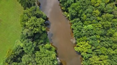 Nehrin su dolu güzel manzarası, nehirde bulutlar, kıvrılan nehir, tarlada nehir, yaz, suya yakın bir ağaç.