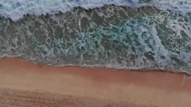 Vista desde arriba, impresionante vista aérea de algunas personas que se relajan en una hermosa playa bañada por un océano turquesa — Vídeos de Stock