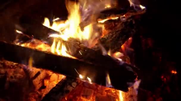 Fire, flames from wood ember for grill bbq firewood — Stock Video