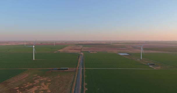 Un parco eolico nelle zone rurali del Texas occidentale — Video Stock