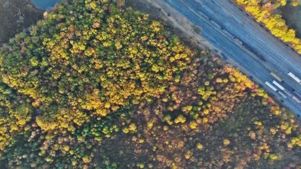 Τοπίο με ένα πολύχρωμο φυλλοβόλο δάσος για να απολαύσετε την ομορφιά του φθινοπώρου άλση στην υπέροχη πεζοπορία — Αρχείο Βίντεο