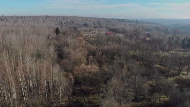 Tidig vår i skogsträden utan löv grå sorgsen skog på våren — Stockvideo