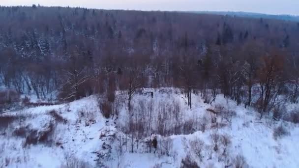 Vista panoramica aerea periodo invernale paesaggio foresta alberi coperto neve tramonto — Video Stock