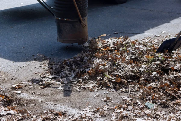 公園清掃サービス 道路の秋のシーズンの葉を掃除するために真空を使用して男 — ストック写真