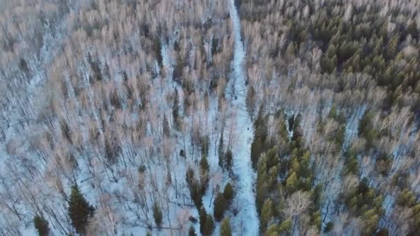 Vista panoramica aerea periodo invernale paesaggio foresta alberi coperto neve tramonto — Video Stock