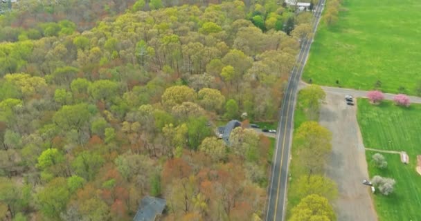 Paisagem incrível de cena maravilhosa com casas floresta campo verde — Vídeo de Stock