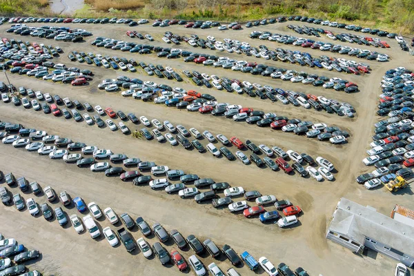 Auction Lot Car Distributed Rows Used Cars Yard Terminal Parked — Stock Photo, Image