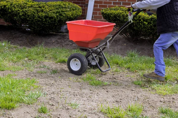 Gardener Works Seeding Fertilizing Lawn Sows Fresh Grass Residential Backyard — Stock Photo, Image