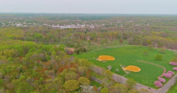 Vista aérea del sol irrumpiendo en el verde bosque de árboles — Vídeo de stock