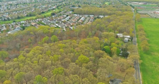 地方道の緑の森を通る田舎道の小さなアメリカの町の面積の空中ビュー — ストック動画