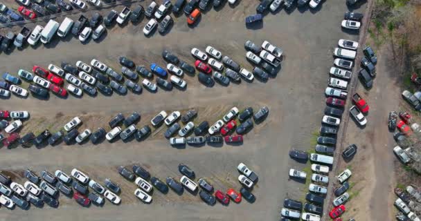 Lot de vente aux enchères sur les voitures distribuées dans le terminal de voitures d'occasion garées — Video
