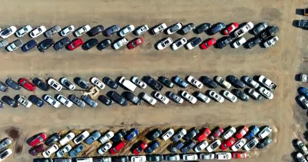 Terminal de carros estacionado um estacionamento em leilão de carros usados — Vídeo de Stock