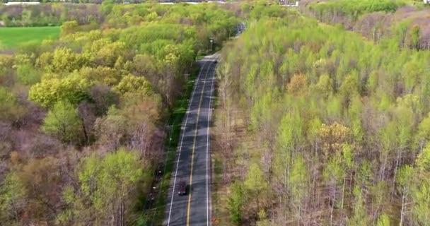 Vue de dessus d'une route au milieu de la forêt. — Video