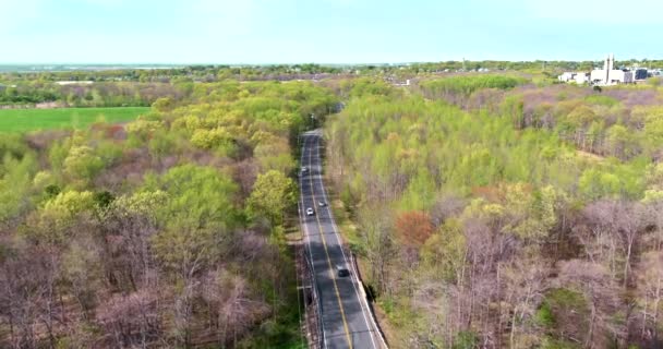 Вид с воздуха на дорогу посреди красивого леса — стоковое видео