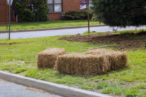 Jardinero Paisajismo Extendiendo Paja Mantillo Jardinería Tareas Domésticas Cobertura Mantillo — Foto de Stock