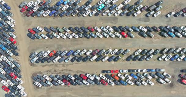 Viele Gebrauchtwagen parken beim Auktionshaus — Stockvideo