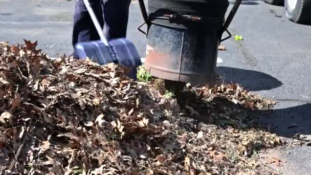 Servicio de limpieza de parques otoño temporada hombre utilizando el vacío para la limpieza de la hoja de la carretera — Vídeos de Stock