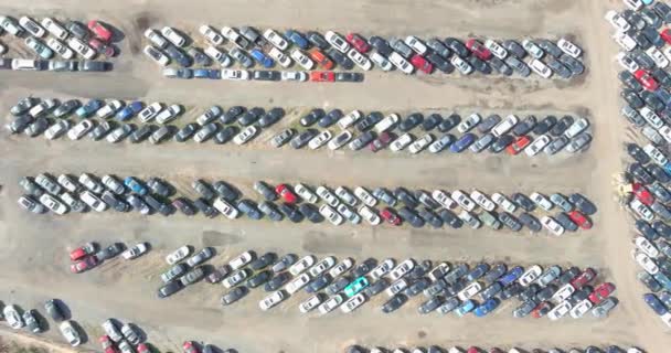 Rows of auction lot on cars parked in car parking — Stock Video