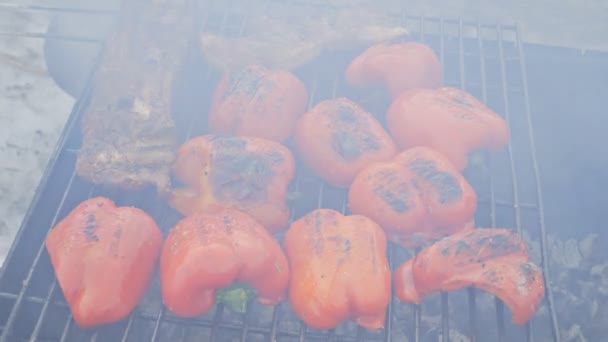 Вид сверху на вкусный сочный красный перец — стоковое видео