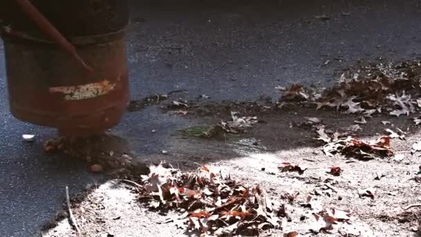 Le travailleur nettoie les feuilles tombées à l'aspirateur — Video