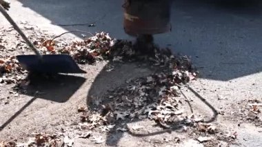 Sonbahar sezonunda yol yaprağı temizlemek için vakum kullanan bir adam.