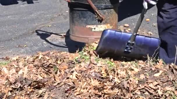 Ouvrier extérieur nettoyer les feuilles tombées sur l'aspirateur dans la route — Video