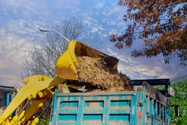 Cleaning Fallen Autumn Leaves Excavator Truck City — Stock Photo, Image