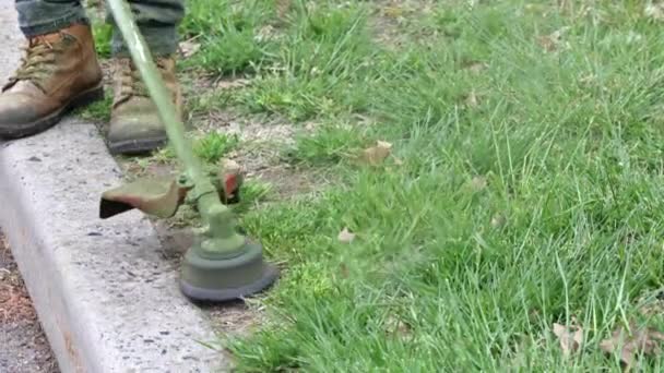 Werknemer in een gasmaaier in zijn handen, gras maaien voor het huis een trimmer in de handen — Stockvideo