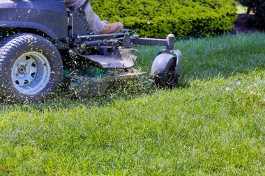 Bahçe işleri, çim biçme makinesi güneşli bahçede çim biçme makinesi.