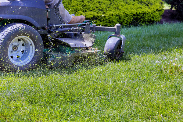 Gardening activity, lawn mower cutting the grass driven lawn mower in sunny garden