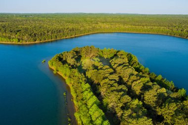 Güneşli bir yaz günü, orman manzaralı doğal gölet manzarası.